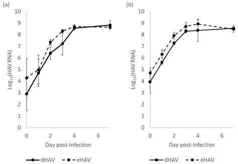 Viruses Free Full Text A Useful Method To Provide Infectious And