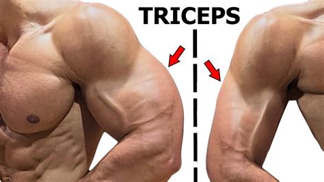 Top 4 Triceps Workout To Build Big Arm Youtube