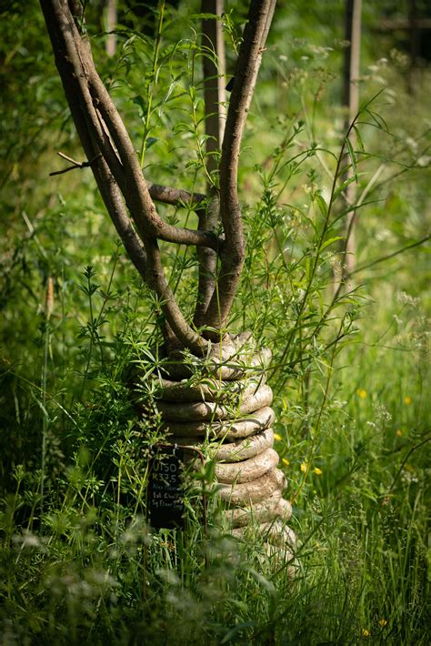 The Chair Orchard grows furniture from the roots and up | Upstate Diary ...