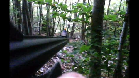 Chasse Au Sanglier En Corse Doubl De Sangliers Video Dailymotion