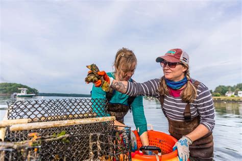 Oyster Reef Restoration As A Cimate Solution Is Taking Off Civil Eats