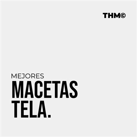 Mejores Macetas de Tela Hidropónicas THM