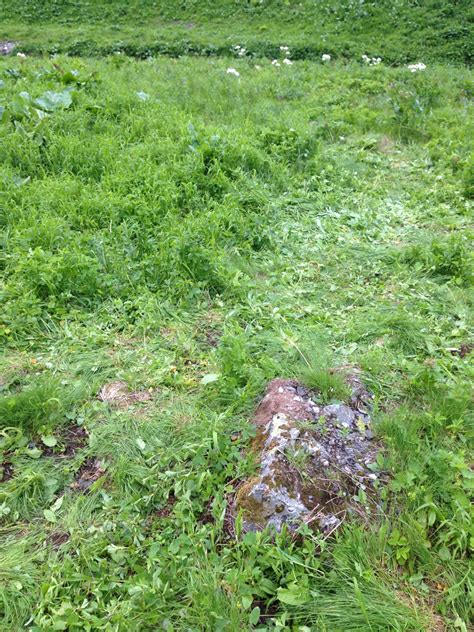 Экологический кодекс туриста и путешественника