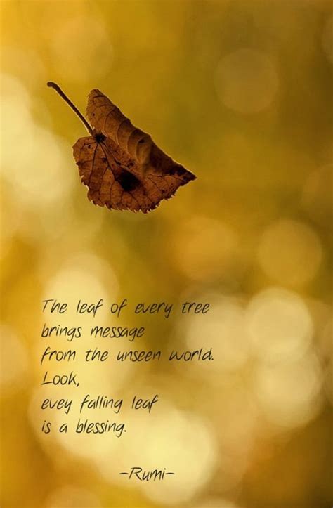 Rumi Quotes The Leaf Of Every Tree Brings Message From The Unseen