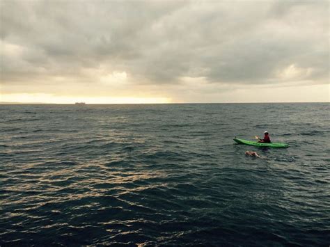 Catalina Channel Openwaterpedia