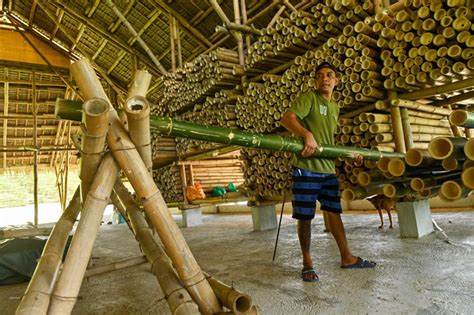 Phl Leads Benchmarking Of Laminated Bamboo Strips For Indoor Furniture