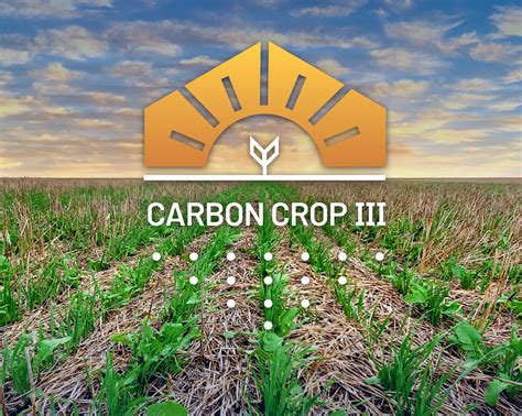 Indigo Ag Announces Record Setting Third Carbon Crop