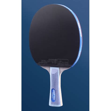 DHS TG Blue Table Tennis Racket - Table Tennis and Ping Pong