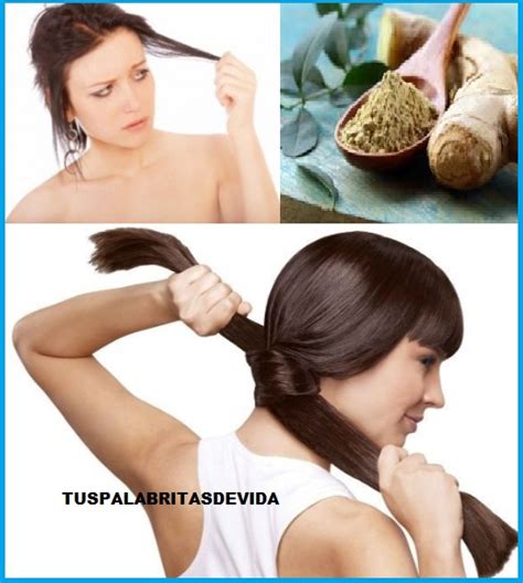 Como Fortalecer El Cabello Con Remedios Naturales