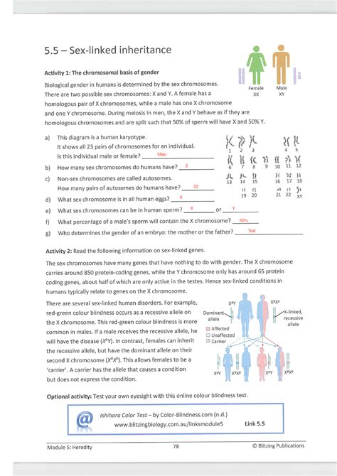 29 Sex Linked Inheritance 5 —sex Linked Inheritance A Activity 1