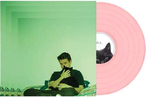 Rex Orange County Bcos U Will Never B Free Lp Vinyl Pink De