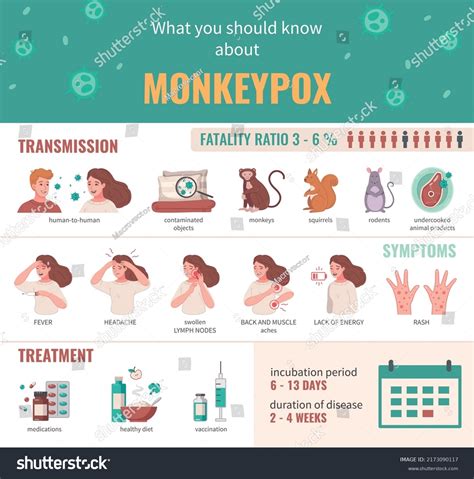 Monkeypox Virus Infographics Set Transmission Ways Stock Vector ...