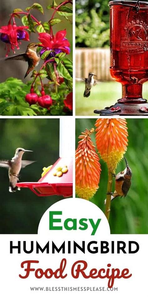 How To Make Hummingbird Food At Home Easy Diy Nectar Recipe Best Diy Pro