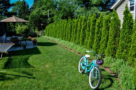 Ornamental Planting New Jersey Clc Landscape Design Clc Landscape