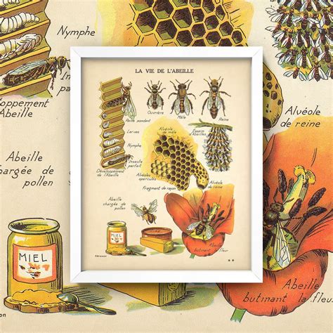 Antique Bee Print Vintage French Honey Bee Wall Art Available in 4 ...