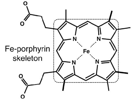 Chemical structure of heme. Fe-porphyrin skeleton is enclosed by a ...