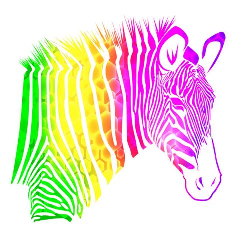 10 Rainbow Zebra Silhouette Stock Illustrations Royalty Free Vector