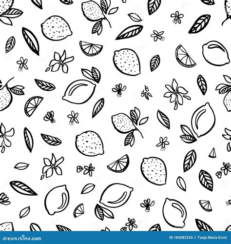 Doodle Lemon Citrus Pattern Hand Drawn Modern Summer Repeating Design