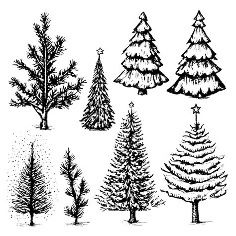 Premium Vector | Set of hand drawn forest fir trees