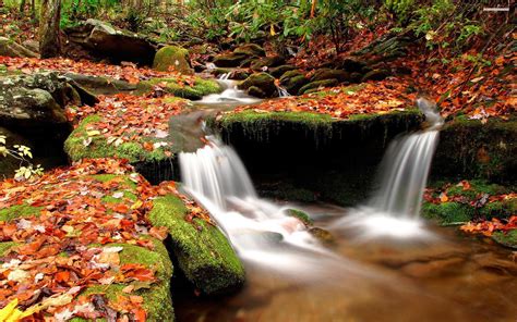 Five Reasons To Love Fall Hiking - The Trek