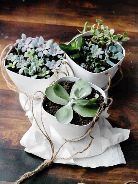 DIY 3 Tiered Hanging Indoor Planter Bre Pea