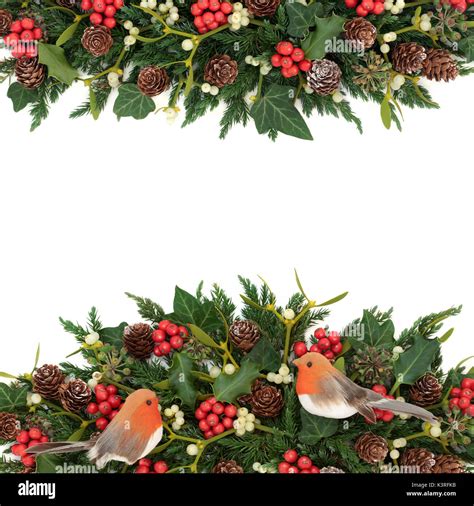 Robin Christmas Border Hi Res Stock Photography And Images Alamy