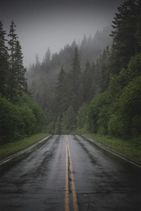 Rainy Road Pictures | Download Free Images on Unsplash