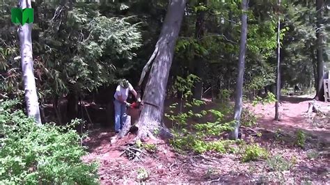 Tree Fails And Idiots With Chainsaws Epic Fail Compilation Part 6