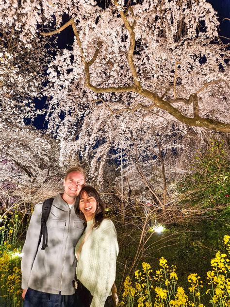 Best cherry Blossom spots in Kyoto – Travelento