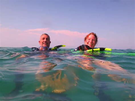 Navarre Beach Marine Park : Bundle These Activities Together