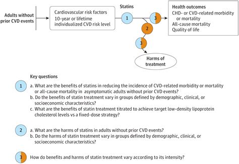 Statin Use For The Primary Prevention Of Cardiovascular Disease In