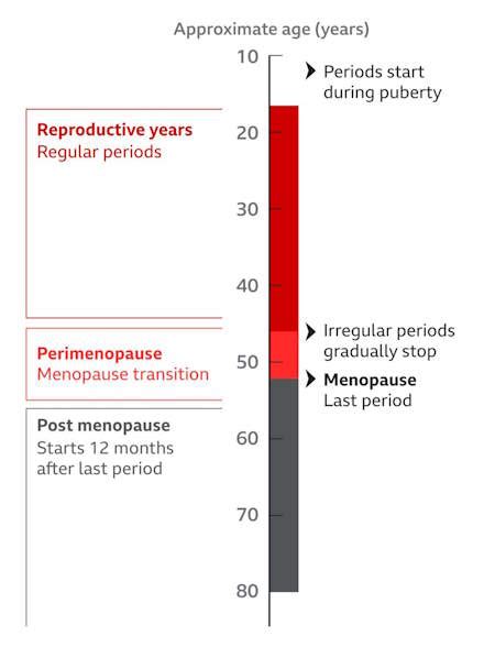 Understanding Menopause And Perimenopause Symptoms Age Treatment