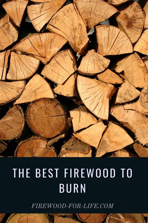 The Best Firewood To Burn Firewood Kiln Dried Firewood Wood