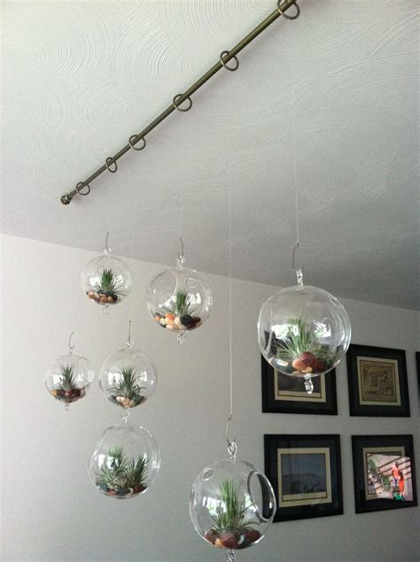 How To Hang Plants From The Ceiling HOMYSTYLE