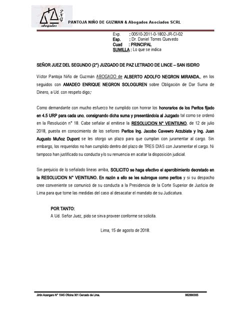 Se Haga Efectivo El Apercibimiento Decretado Pdf