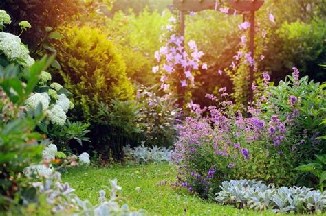 Minden amit a nyári kerti teendőkről tudnod kell Agroinform hu