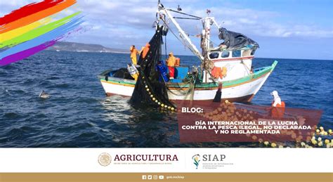 Día internacional de la lucha contra la pesca ilegal no declarada y no