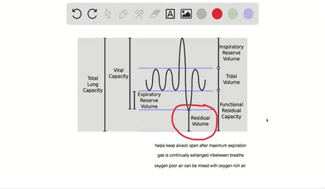 SOLVED: What is the reason for having residual volume in the lung?