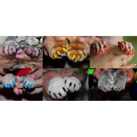 Силиконовые накладки на когти для кошек | отзывы, цена, какие лучше купить