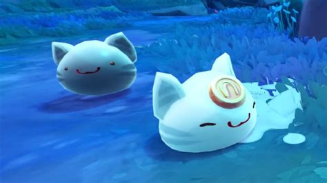 All Slime Rancher Slimes Where To Find Them And What They Eat 8601 Hot Sex Picture