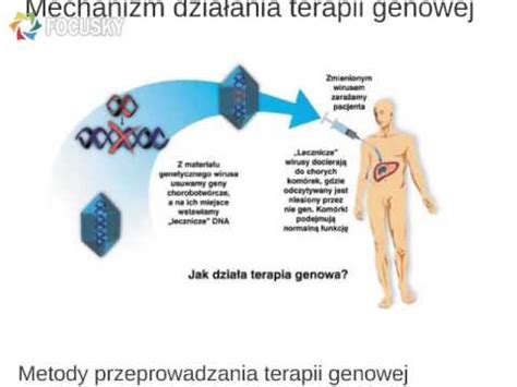 Terapia Genowa YouTube