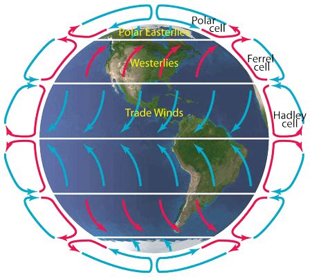 Global Atmospheric Circulation Diagram