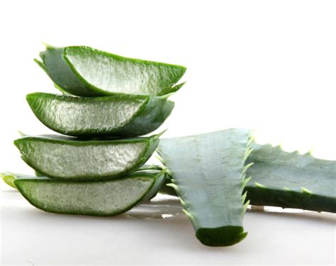 Desert Plants for Skin and Hair Care