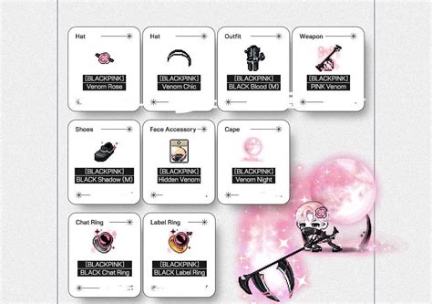 Maplesea Blackpink Pink Set Cash Equip Maplestory Aquila Blackpink