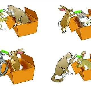 | Example pictures for one trial of the experimental task. Permission ... 