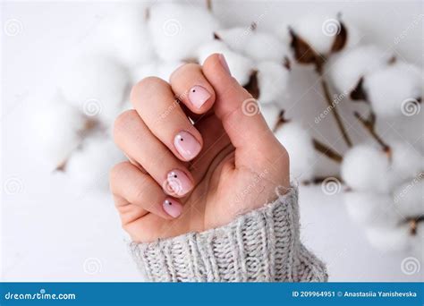 Woman Hands With Beautiful Nude Manicure Holding Delicate White Cotton Flower Female Manicure