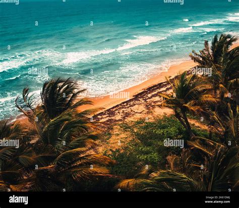 Beautiful Tropical Days in the Beach of Puerto Rico Stock Photo - Alamy