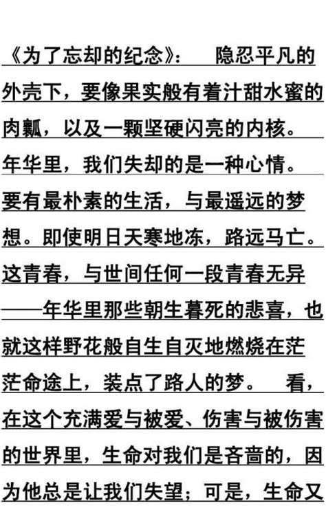 优美散文摘抄 200字范文118