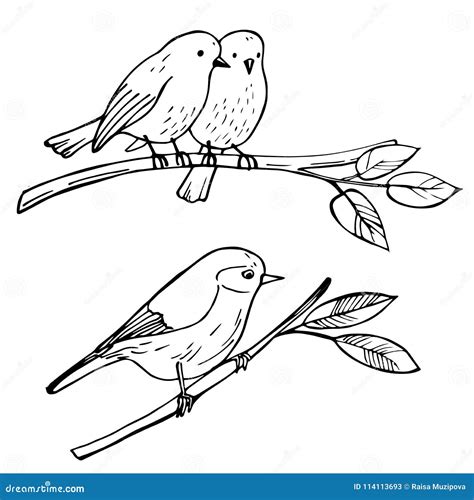 Birds Sitting On A Branch Vector Sketch Illustration Stock Vector