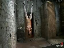 Allie Haze Nude Pornstar Search 3913 Results